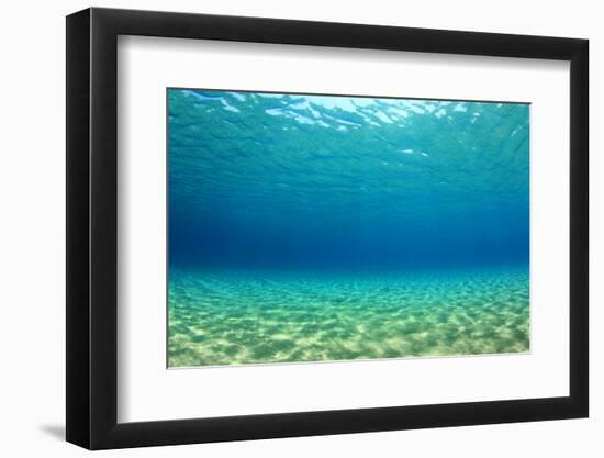 Underwater Background in Ocean-Rich Carey-Framed Photographic Print