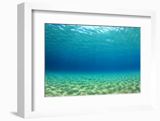 Underwater Background in Ocean-Rich Carey-Framed Photographic Print