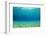 Underwater Background in Ocean-Rich Carey-Framed Photographic Print