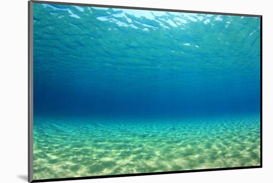 Underwater Background in Ocean-Rich Carey-Mounted Photographic Print