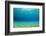 Underwater Background in Ocean-Rich Carey-Framed Photographic Print