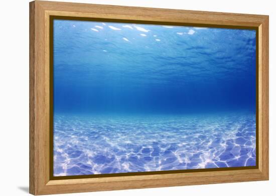 Underwater Background in the Sea-Rich Carey-Framed Premier Image Canvas