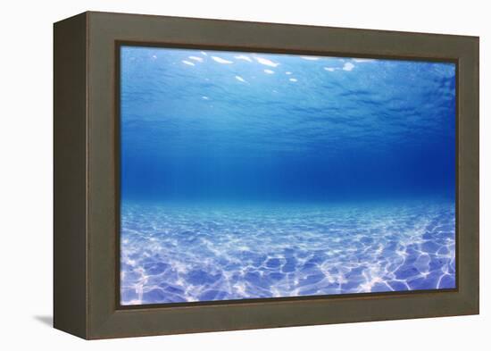 Underwater Background in the Sea-Rich Carey-Framed Premier Image Canvas