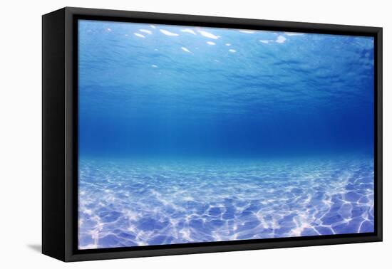 Underwater Background in the Sea-Rich Carey-Framed Premier Image Canvas