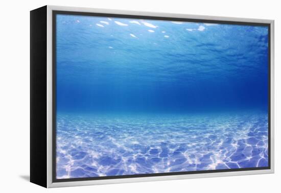 Underwater Background in the Sea-Rich Carey-Framed Premier Image Canvas