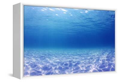 Underwater Background In The Sea Photographic Print Rich Carey Art Com