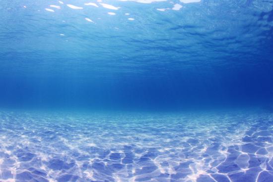 Underwater Background In The Sea Photographic Print Rich Carey Art Com