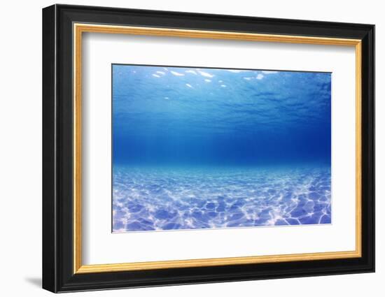 Underwater Background in the Sea-Rich Carey-Framed Photographic Print