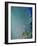 Underwater, Bonaire, Netherlands Antilles-Connie Bransilver-Framed Photographic Print