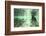 Underwater Brown Bear, Katmai National Park, Alaska-Paul Souders-Framed Photographic Print