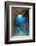 Underwater Cave and Glassfish-Bernard Radvaner-Framed Photographic Print