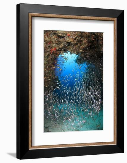 Underwater Cave and Glassfish-Bernard Radvaner-Framed Photographic Print