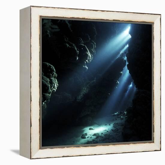 Underwater Cave-Alexander Semenov-Framed Premier Image Canvas