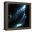 Underwater Cave-Alexander Semenov-Framed Premier Image Canvas