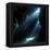 Underwater Cave-Alexander Semenov-Framed Premier Image Canvas