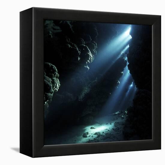 Underwater Cave-Alexander Semenov-Framed Premier Image Canvas
