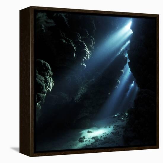 Underwater Cave-Alexander Semenov-Framed Premier Image Canvas