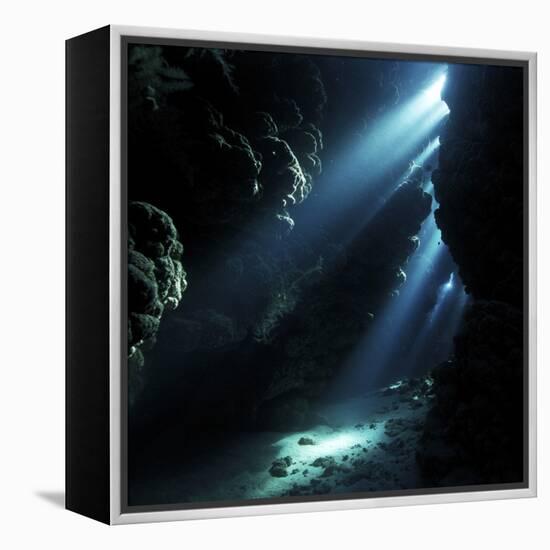 Underwater Cave-Alexander Semenov-Framed Premier Image Canvas