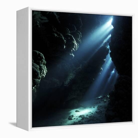 Underwater Cave-Alexander Semenov-Framed Premier Image Canvas