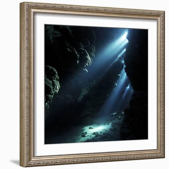 Underwater Cave-Alexander Semenov-Framed Premium Photographic Print