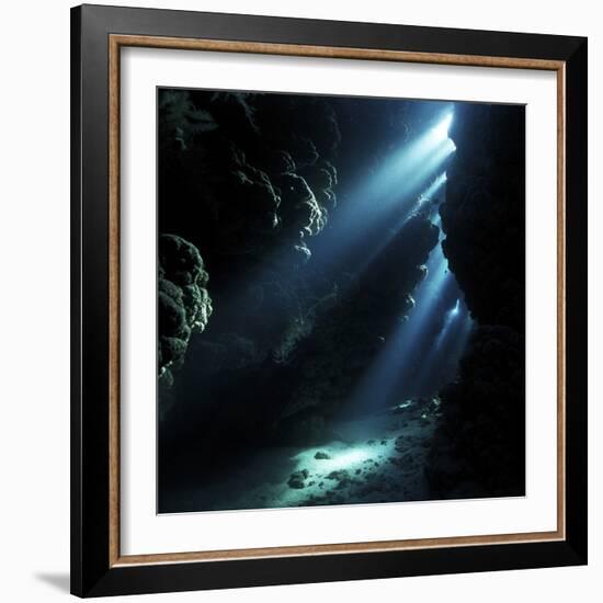 Underwater Cave-Alexander Semenov-Framed Premium Photographic Print