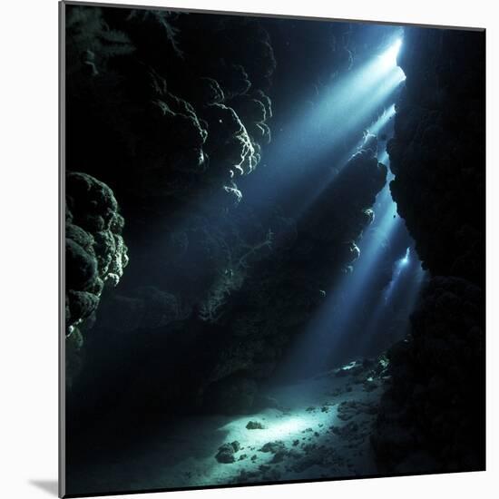 Underwater Cave-Alexander Semenov-Mounted Premium Photographic Print