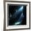 Underwater Cave-Alexander Semenov-Framed Premium Photographic Print