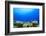 Underwater Coral Reef and Tropical Fish in Ocean-Rich Carey-Framed Photographic Print