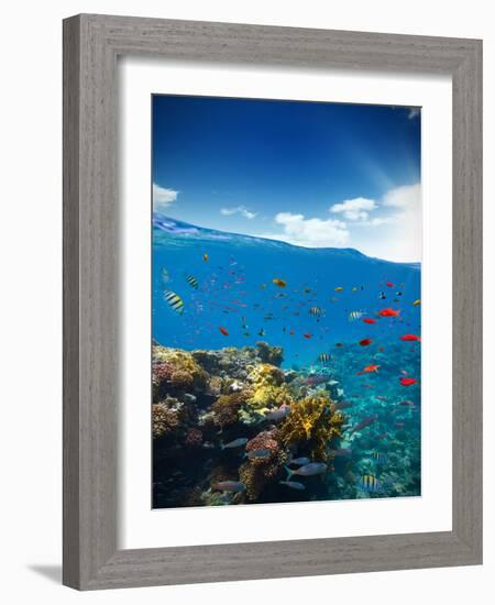 Underwater Coral Reef with Horizon and Water Waves-Jakub Gojda-Framed Photographic Print