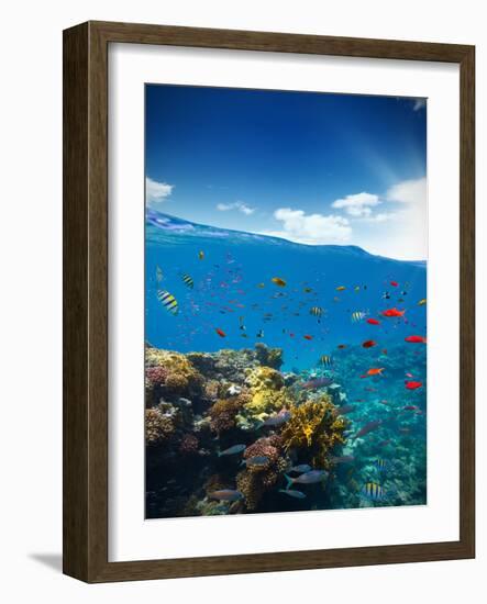 Underwater Coral Reef with Horizon and Water Waves-Jakub Gojda-Framed Photographic Print