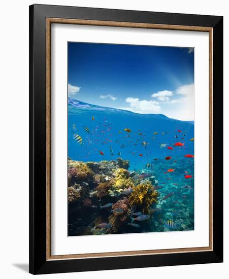 Underwater Coral Reef with Horizon and Water Waves-Jakub Gojda-Framed Photographic Print