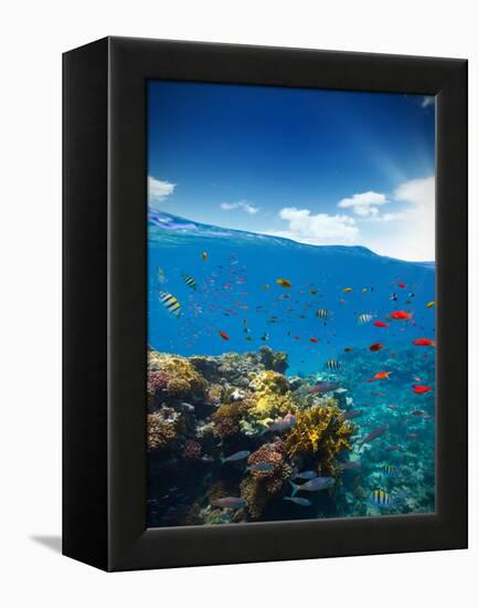 Underwater Coral Reef with Horizon and Water Waves-Jakub Gojda-Framed Premier Image Canvas