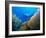 Underwater Diver Swimming Above Reef, with Orange Sea Fan, Similan Island, Thailand, Asia-Louise Murray-Framed Photographic Print