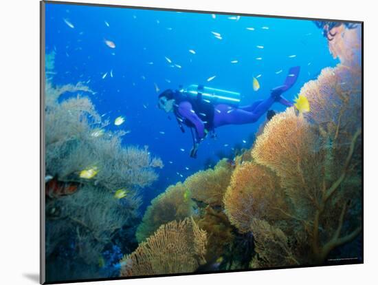 Underwater Diver Swimming Above Reef, with Orange Sea Fan, Similan Island, Thailand, Asia-Louise Murray-Mounted Photographic Print