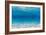 Underwater I-James Wiens-Framed Premium Giclee Print