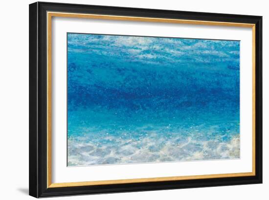 Underwater I-James Wiens-Framed Premium Giclee Print