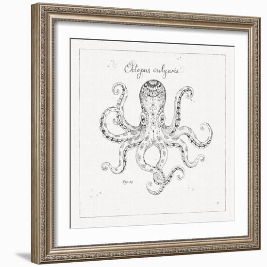 Underwater Life III-Daphne Brissonnet-Framed Art Print