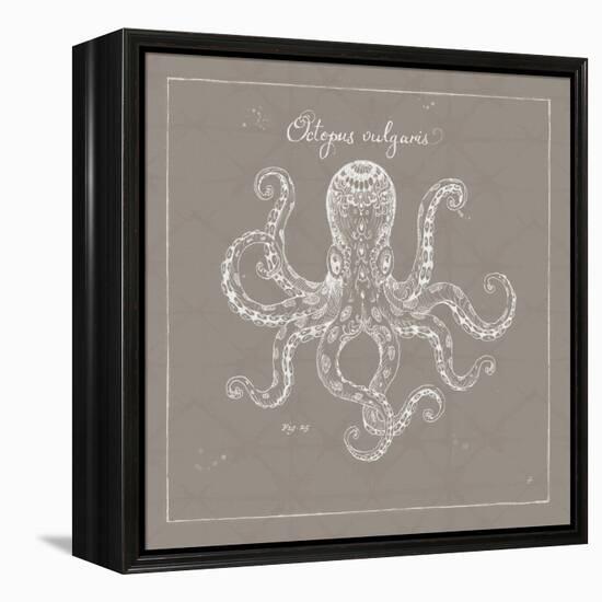 Underwater Life XI Greige-Daphne Brissonnet-Framed Stretched Canvas