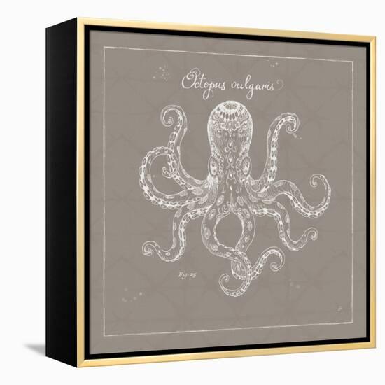 Underwater Life XI Greige-Daphne Brissonnet-Framed Stretched Canvas