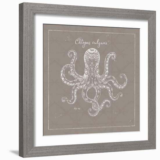 Underwater Life XI Greige-Daphne Brissonnet-Framed Art Print