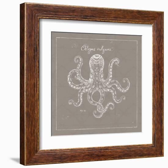 Underwater Life XI Greige-Daphne Brissonnet-Framed Art Print