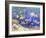 Underwater Menagerie-Charlsie Kelly-Framed Giclee Print