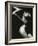 Underwater Nude, 1979-Brett Weston-Framed Photographic Print