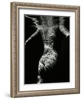 Underwater Nude, 1979-Brett Weston-Framed Photographic Print