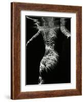Underwater Nude, 1979-Brett Weston-Framed Photographic Print