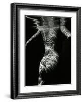Underwater Nude, 1979-Brett Weston-Framed Photographic Print