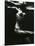 Underwater Nude, 1981-Brett Weston-Mounted Premium Photographic Print