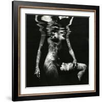 Underwater Nude, c.1980-Brett Weston-Framed Photographic Print