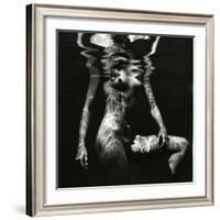 Underwater Nude, c.1980-Brett Weston-Framed Photographic Print