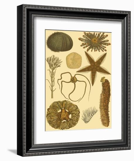 Underwater Oddities I-Vision Studio-Framed Art Print